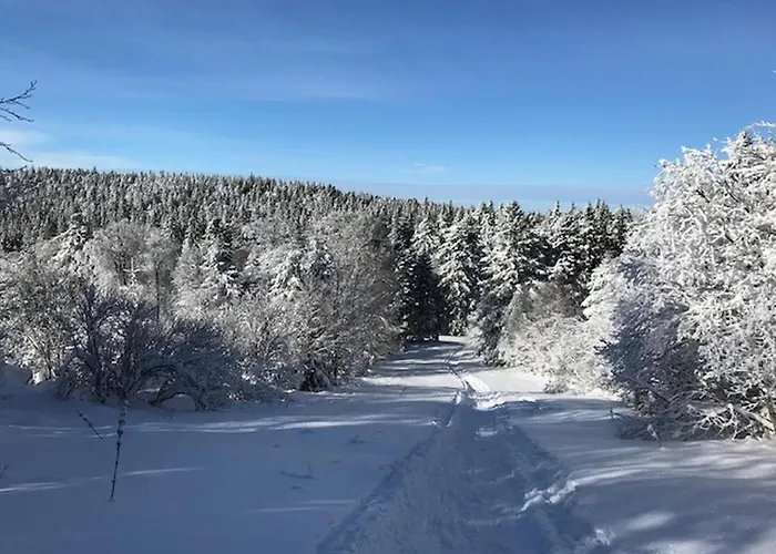 Splendide T3 Avec Terrasse Et Garage, 6 Pers. - Fr-1-608-24 *