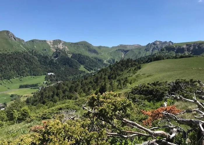 Splendide T3 Avec Terrasse Et Garage, 6 Pers. - Fr-1-608-24 * Le Mont-Dore